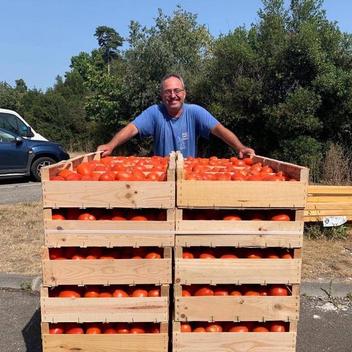 producteur de tomate
